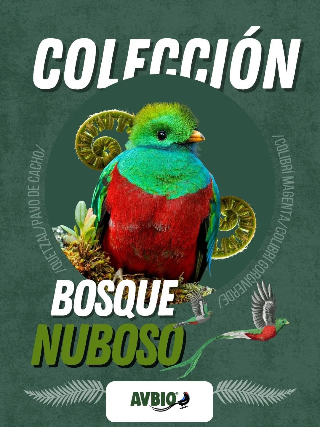 bosque nuboso